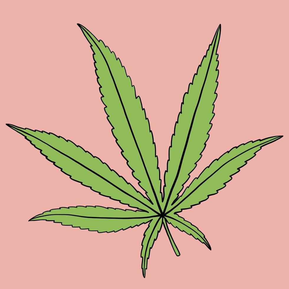 Einfachheit Cannabisblatt Freihand zeichnen flaches Design. vektor