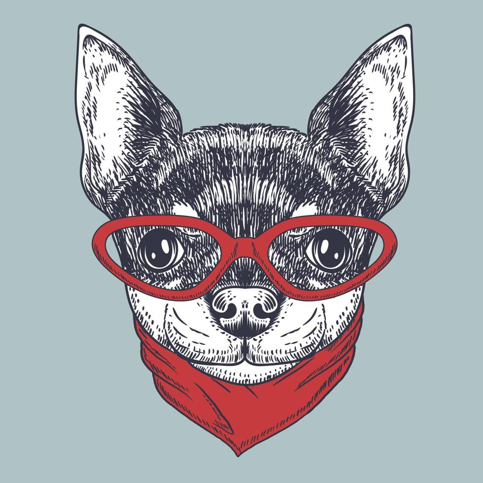 chihuahua hund handgezeichnet mit roter brille und bandana-hals vektor