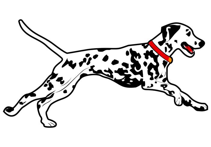 Dalmatinischer Hund laufen Vektor-Illustration vektor