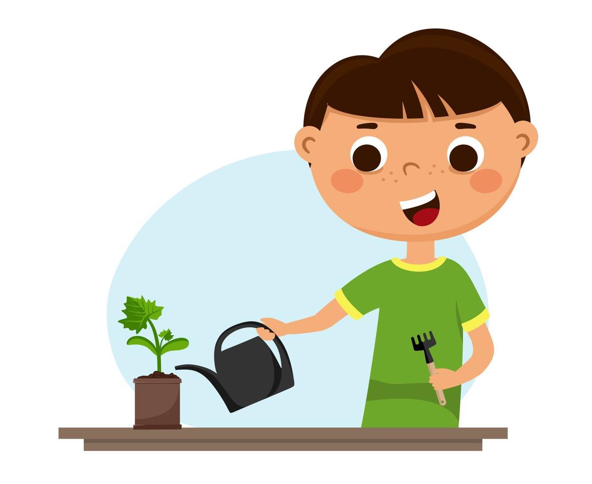 Ein süßer Junge gießt junge Pflanzen. Kinder und ein Gemüsegarten am Fenster. Vektor-Illustration isoliert auf weißem Hintergrund vektor