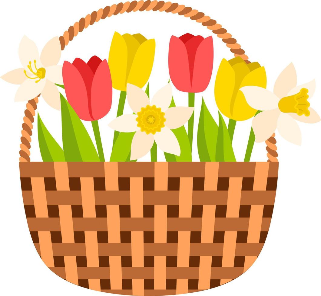 flätad korg med tulpaner och påskliljor. vårblommor, en symbol för vårens början, trädgårdsarbete. dekorativt element för ett vykort. vektor illustration i platt stil. isolerad på vitt.