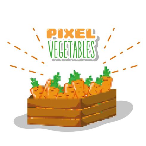 Pixel Gemüse Cartoons vektor