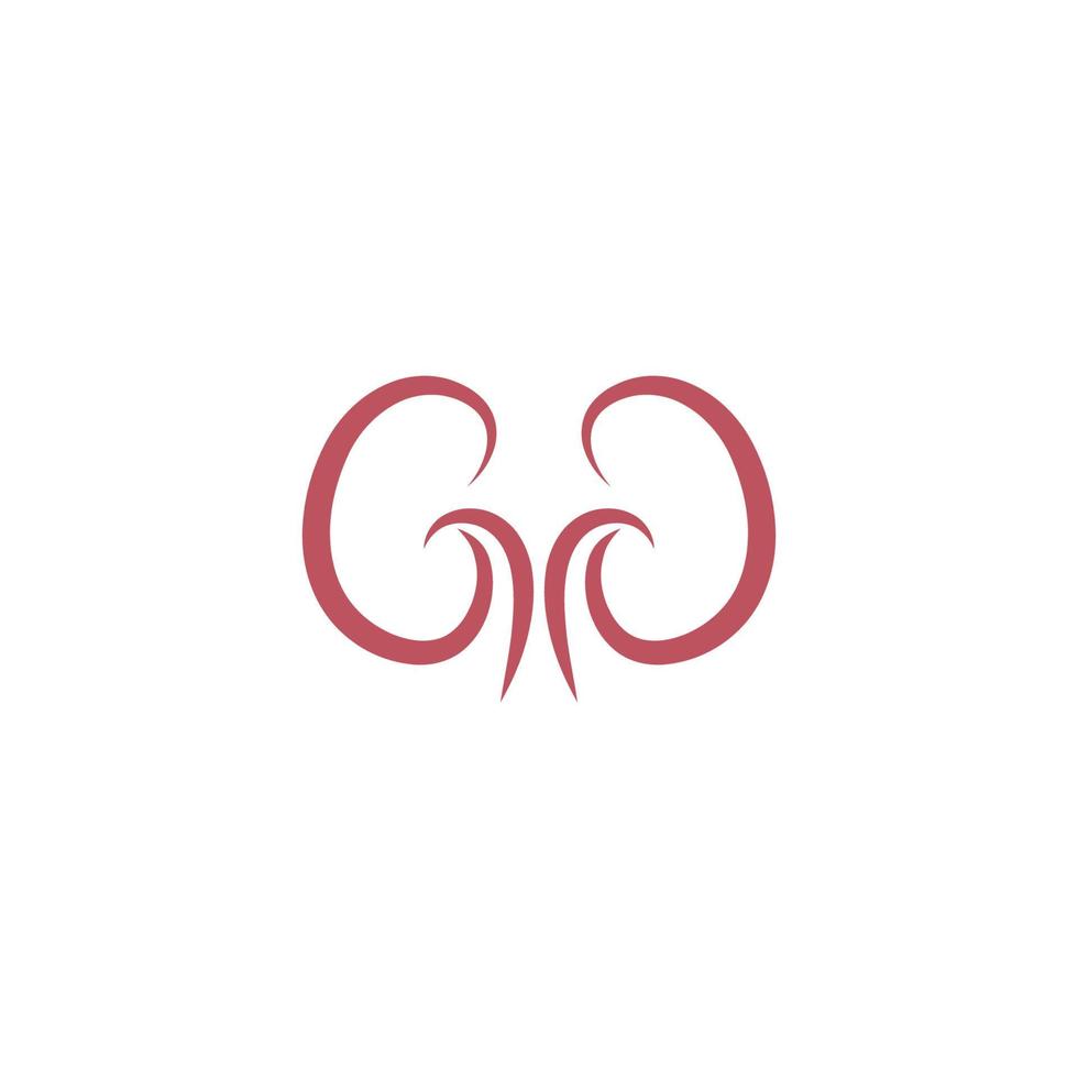 Urologie-Logo, Nieren-Logo-Symbol gesunde Vorlage vektor