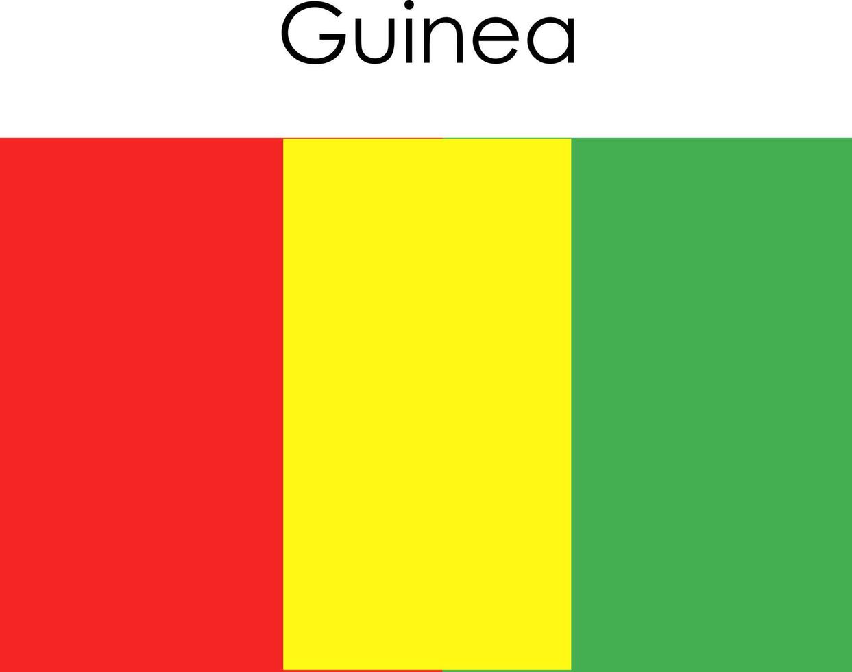 nationella flagga ikon guinea vektor