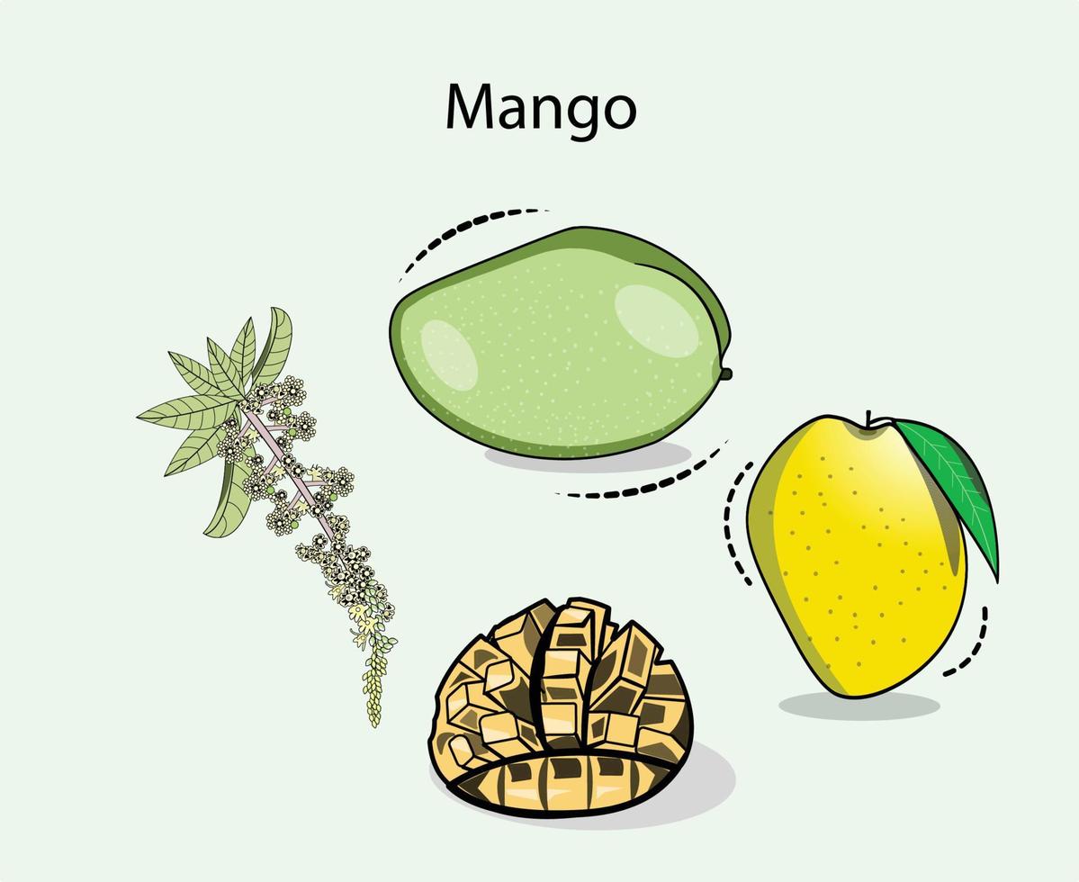 Eine Reihe von Mango-Illustrationen kann als Cartoon-Mango, Symbol oder in Merch verwendet werden. vektor