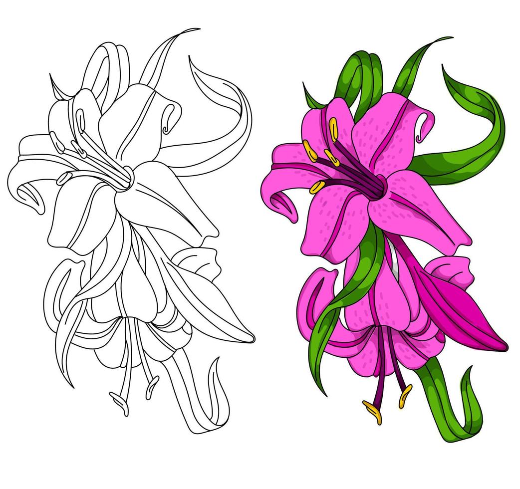 schöne Vektorblume mit schwarzer Umrisszeichnung. vektor