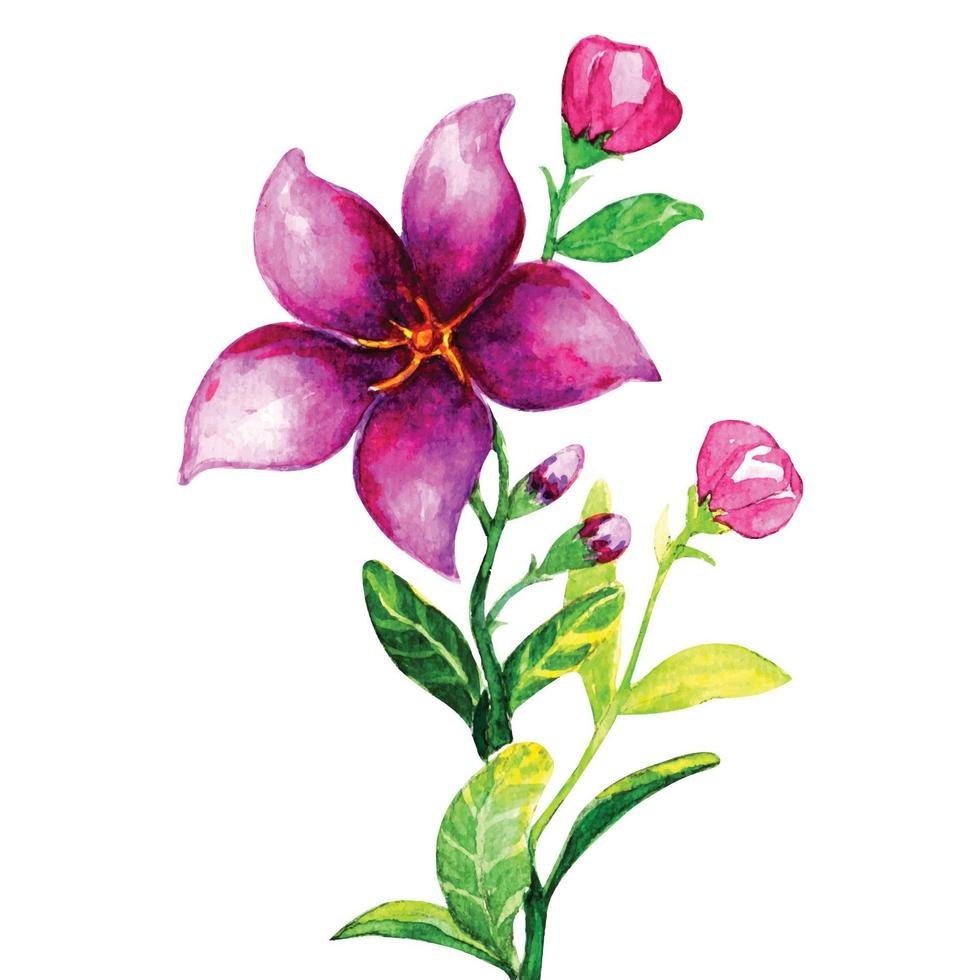 aquarell botanische blumen vektor