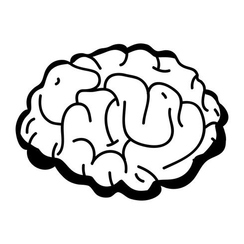 Kontur menschlichen Gehirns Anatomie kreativ und Intellekt vektor