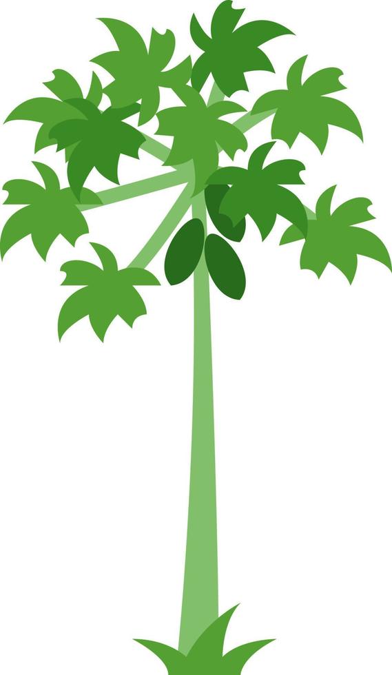 flache illustration des papayabaums vektor
