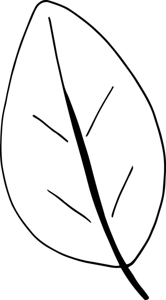 Basilikumblätter setzen Symbol, Etikett, Menü. Skizze handgezeichnetes Gekritzel. Skandinavischer monochromer Minimalismus. Kräuter Gewürze vektor