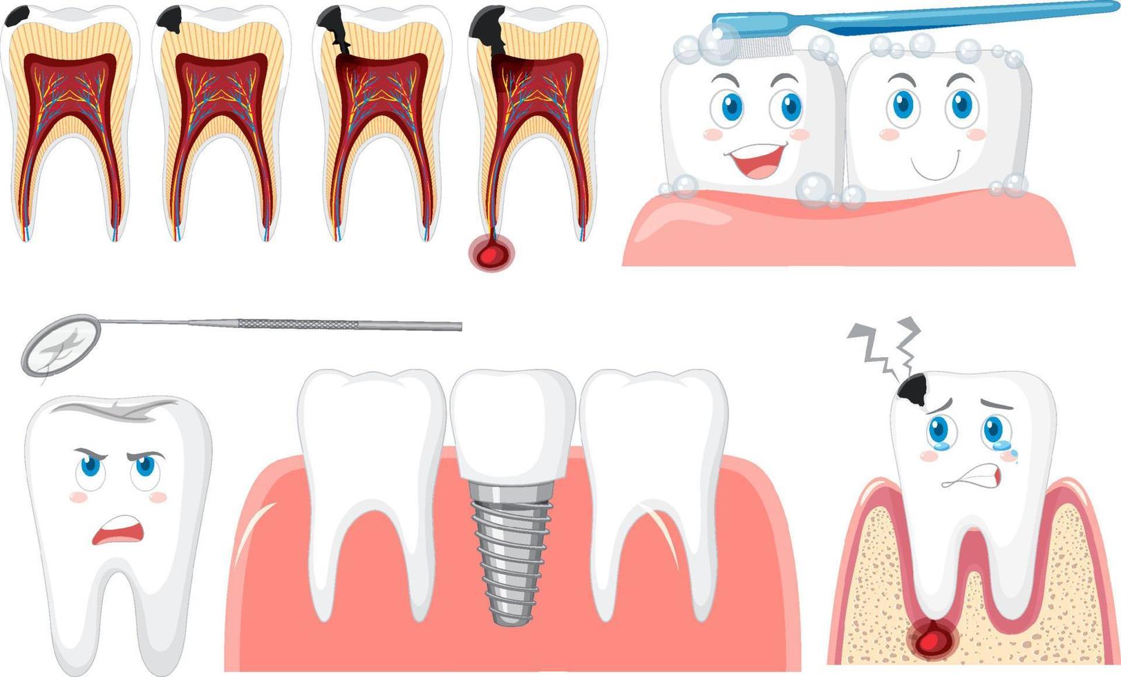 uppsättning av alla typer av tänder på vit bakgrund vektor