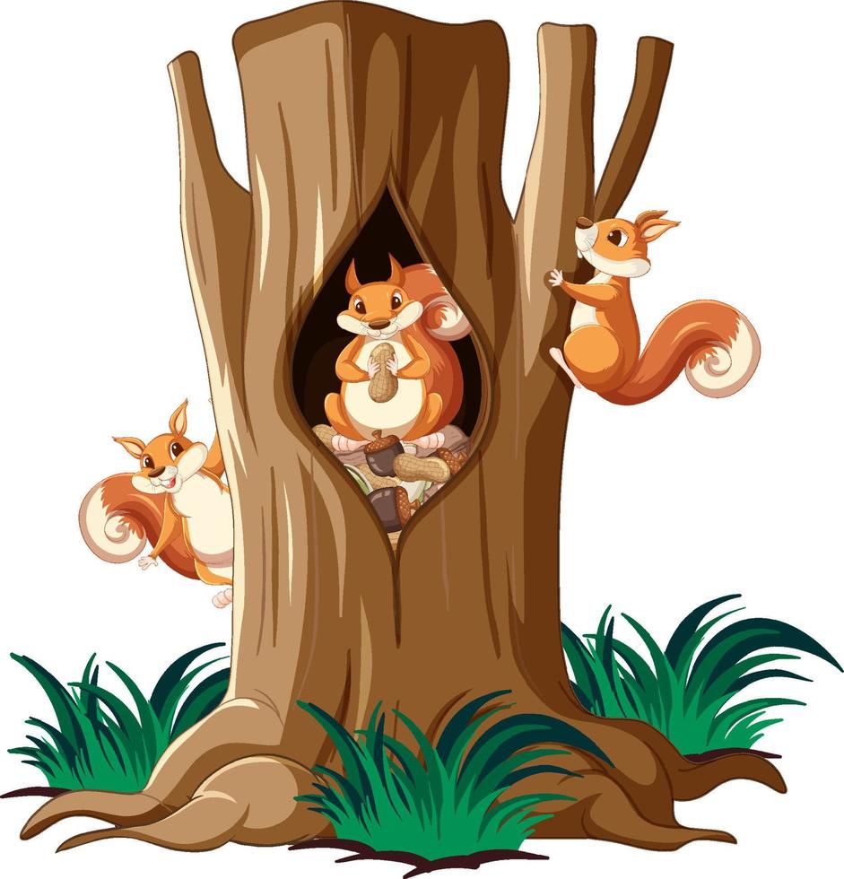 Drei Eichhörnchen klettern auf einen Baum vektor