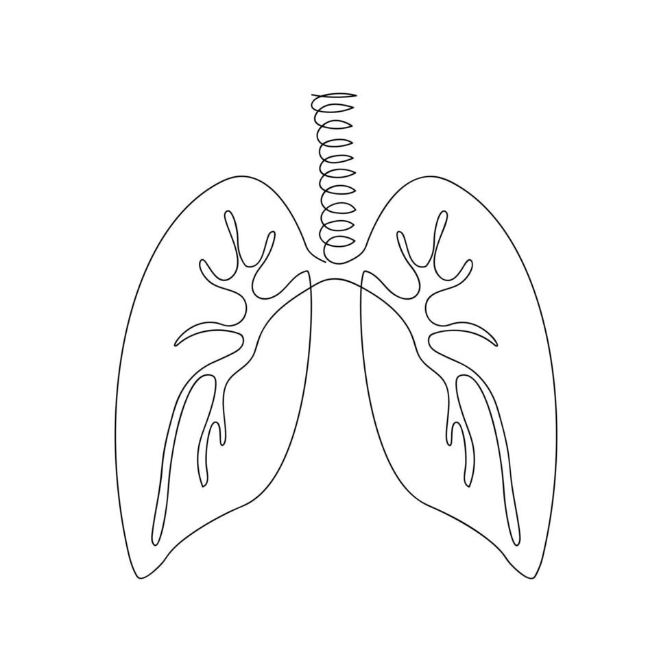Lunge durch eine Linie gezeichnet. Skizze des menschlichen Organs. fortlaufende Linienzeichnung anatomischer Kunst. vektorillustration im minimalen stil. vektor