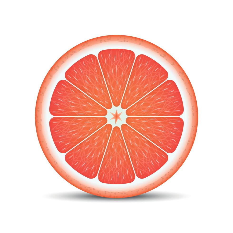 realistische Grapefruitscheibe vektor
