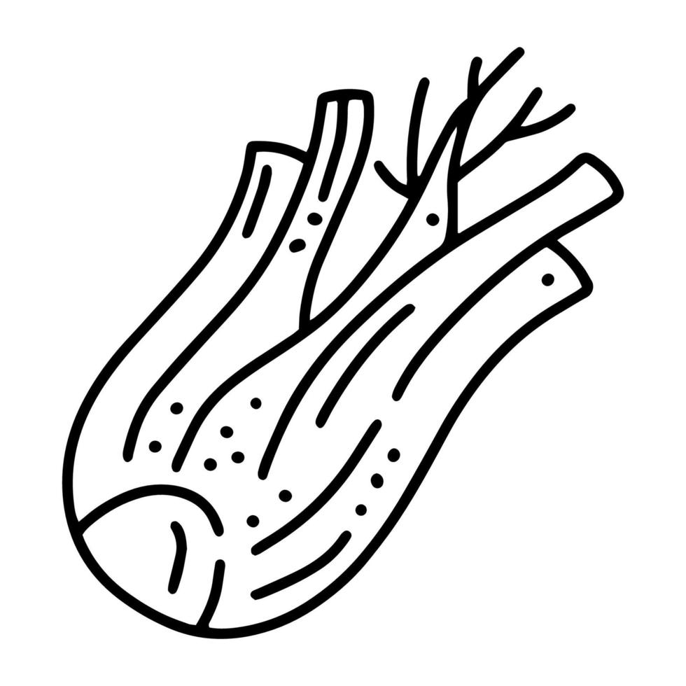 fänkål eller selleri, höst grönsaksskörd, linjär vektor ikon i doodle stil