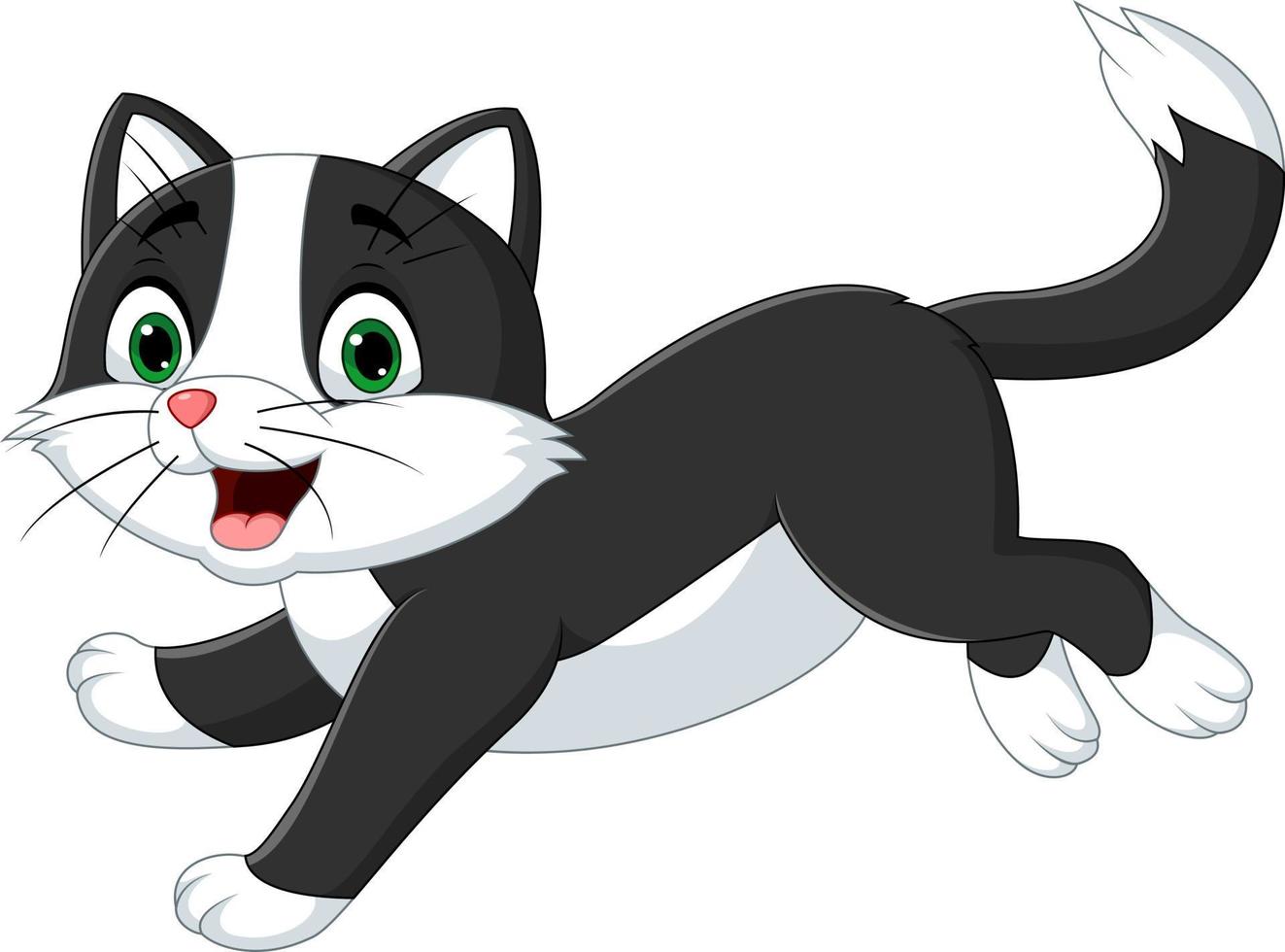 Cartoon schwarz-weiße Katze auf weißem Hintergrund vektor
