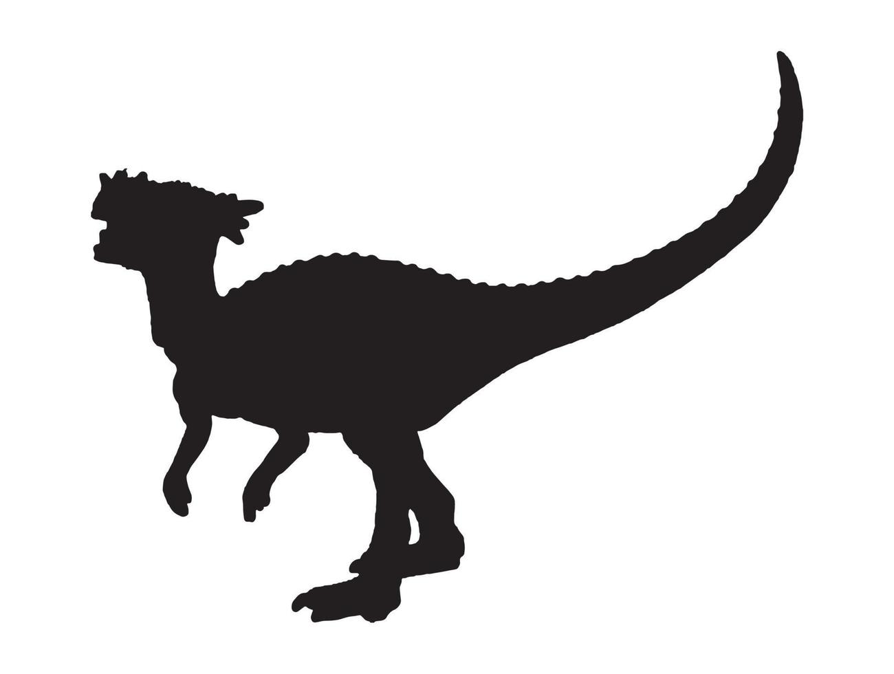 Dracorex, Dinosaurier auf isoliertem Hintergrund. vektor