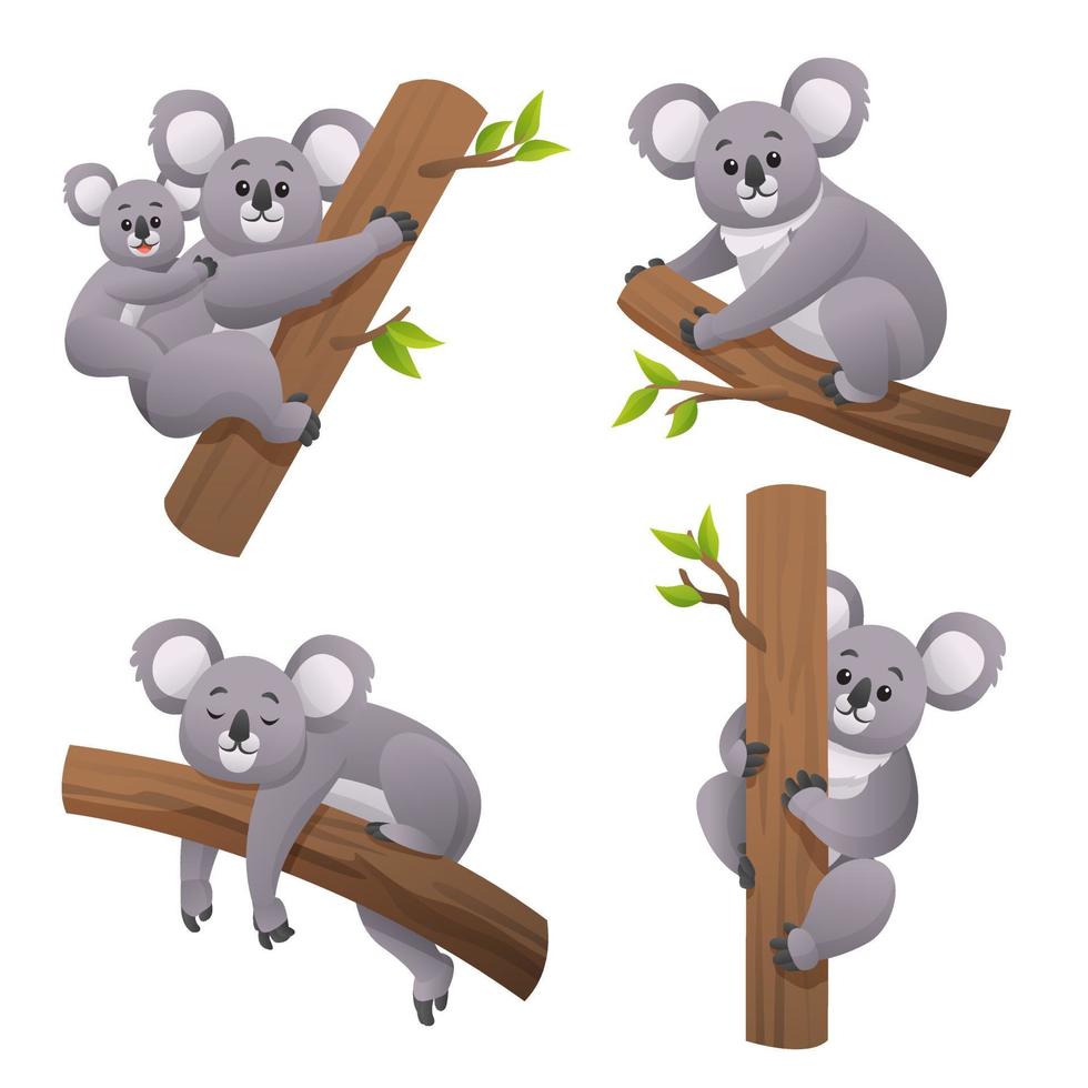 niedlicher koala in verschiedenen haltungen karikaturillustration vektor