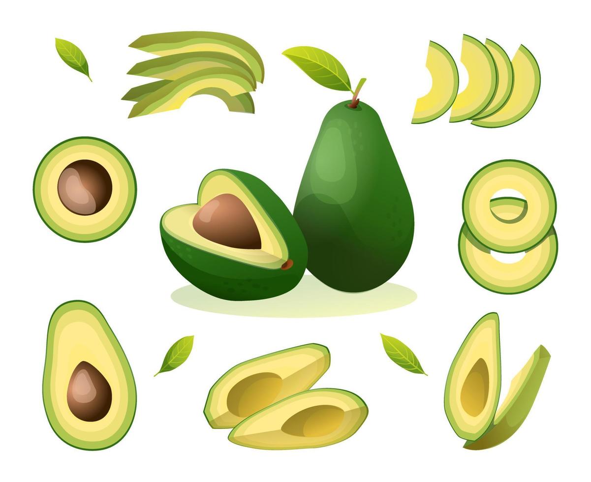 satz frischer ganzer, halber, geschnittener scheiben und blätter avocadoillustration lokalisiert auf weißem hintergrund vektor