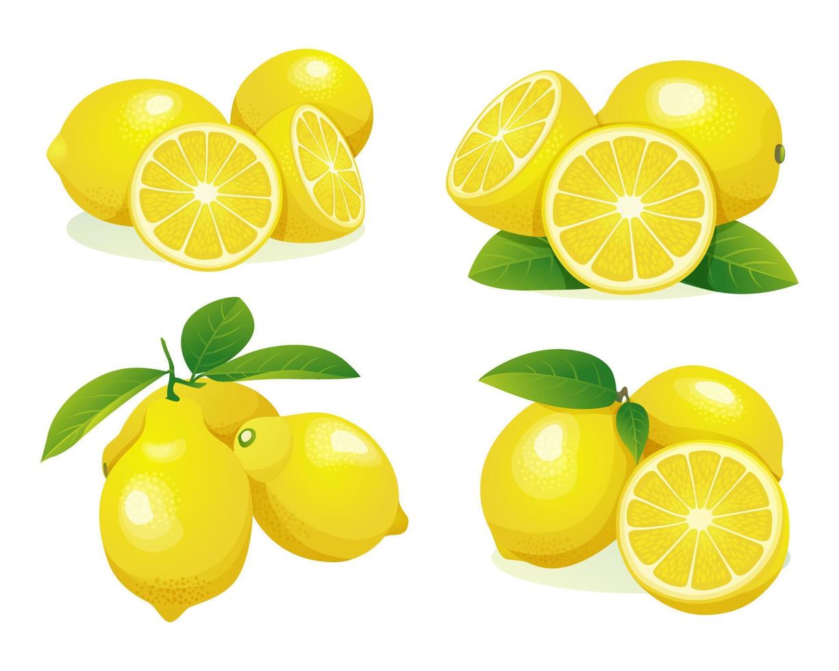 uppsättning av färsk citron hel och halv skär illustration isolerad på vit bakgrund vektor