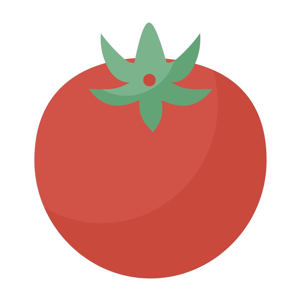 große rote Tomate vektor