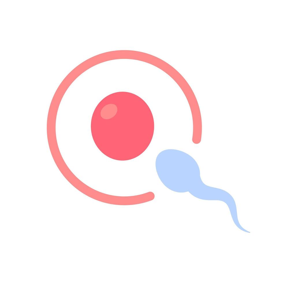 Spermien laufen in den weiblichen Eierstock, um die Schwangerschaft einer Frau zu befruchten. vektor