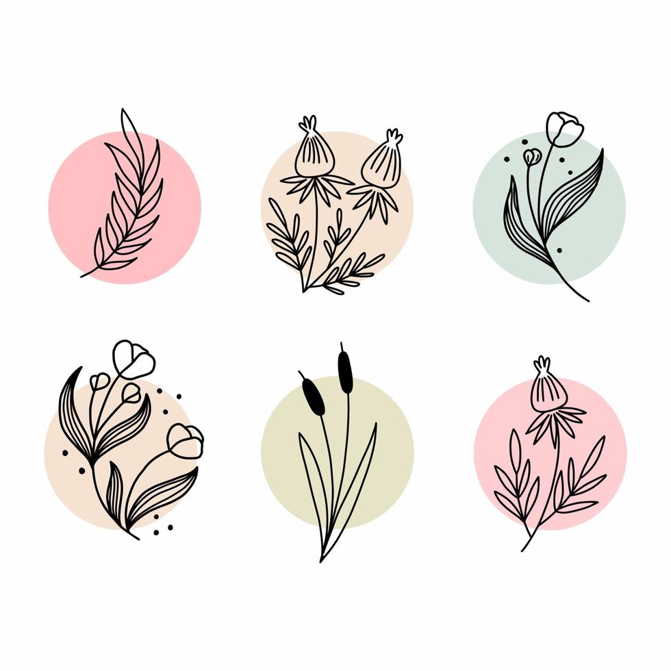 uppsättning av växt och ört. vektor doodle illustration. vykort dekor element.
