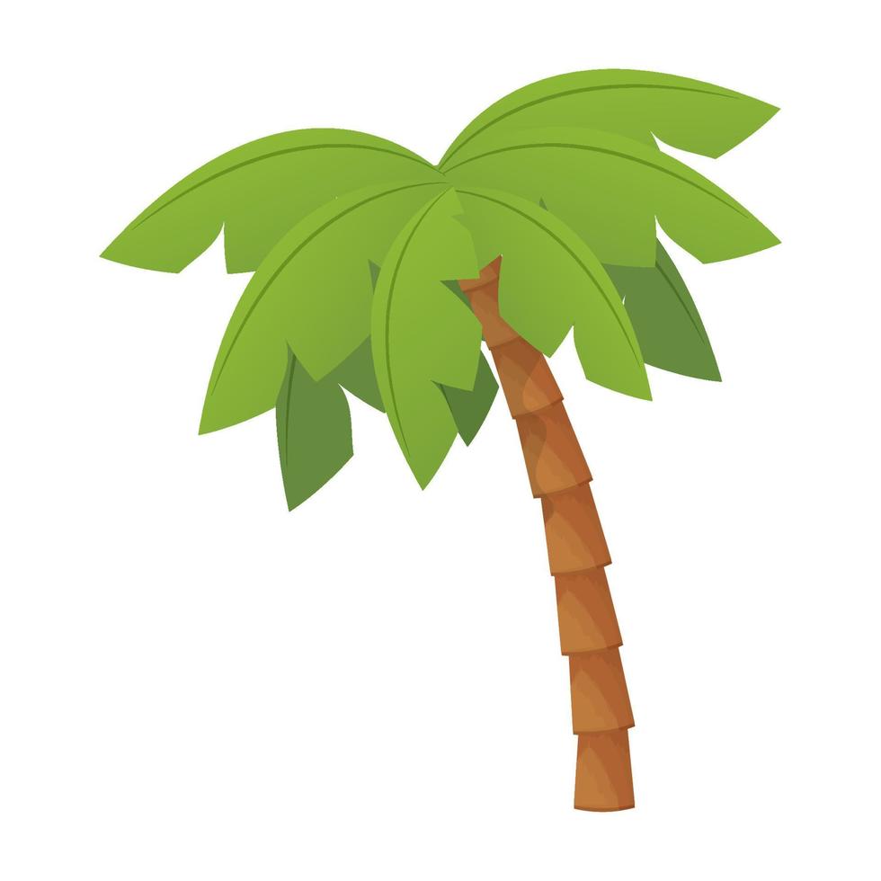 Palme mit Laub im Cartoon-Stil isoliert auf weißem Hintergrund Vektor-Illustration. tropische pflanze des wilden strandes, hölzerner trank. . Vektor-Illustration vektor