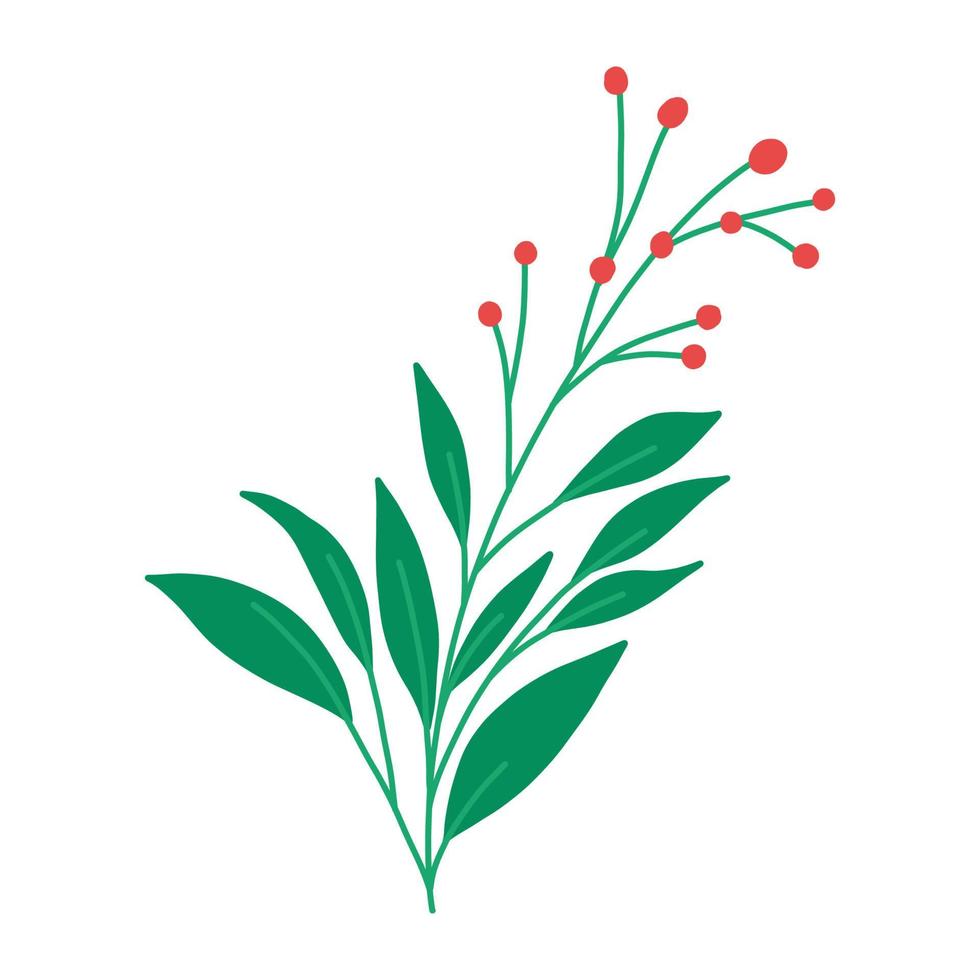 elegante Winterpflanze mit Beeren und Blättern, flache Vektorgrafik isoliert auf weißem Hintergrund. Weihnachtsblume, traditionelle Dekoration. vektor
