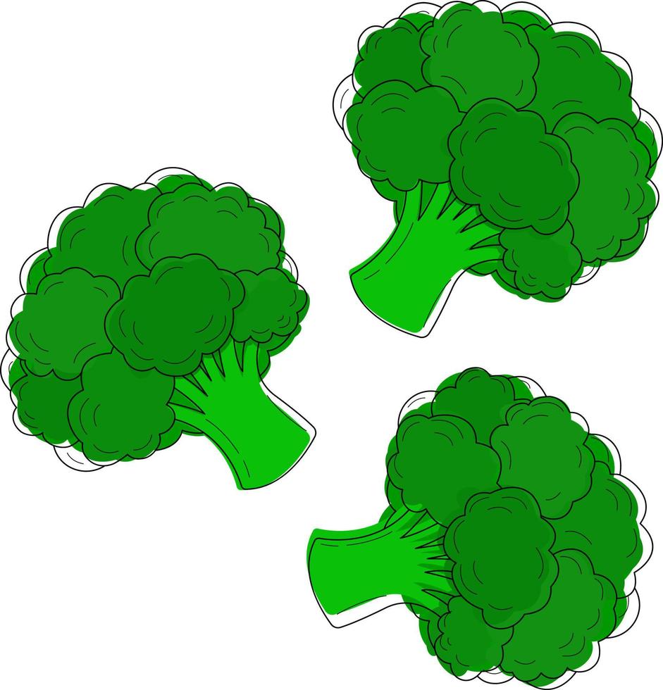 Vektor-Illustration eines Brokkoli-Sets auf weißem Hintergrund. isolierte elemente für design.it wird für menüs, anzeigen und umschläge, kinderbücher, lebensmittelillustrationen verwendet. Lebensmittelillustration. vektor