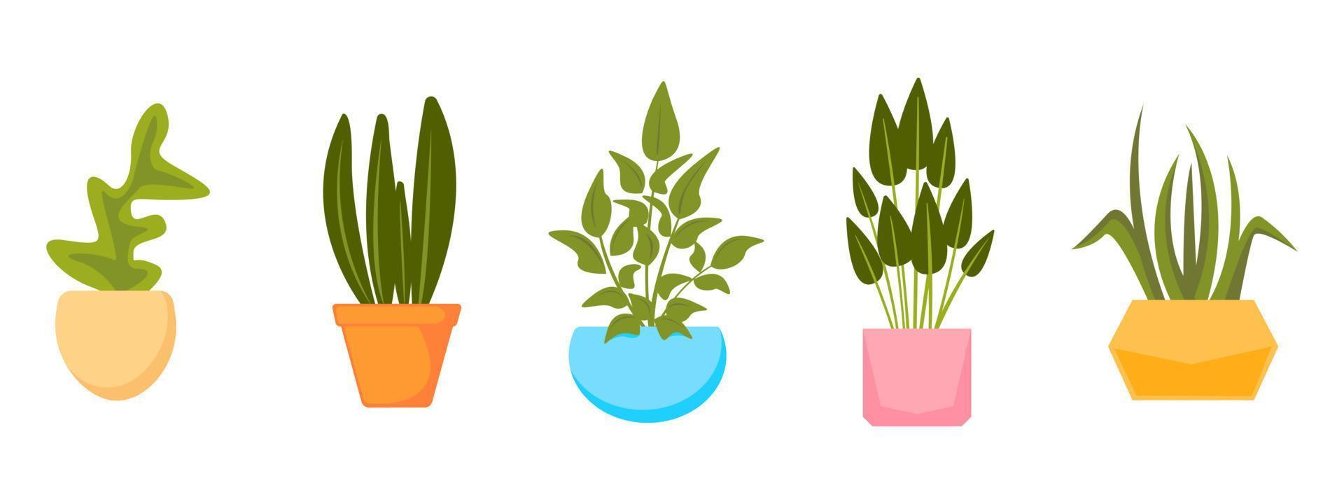 uppsättning hemväxter i krukor. vektor samling av krukväxter i platt stil.