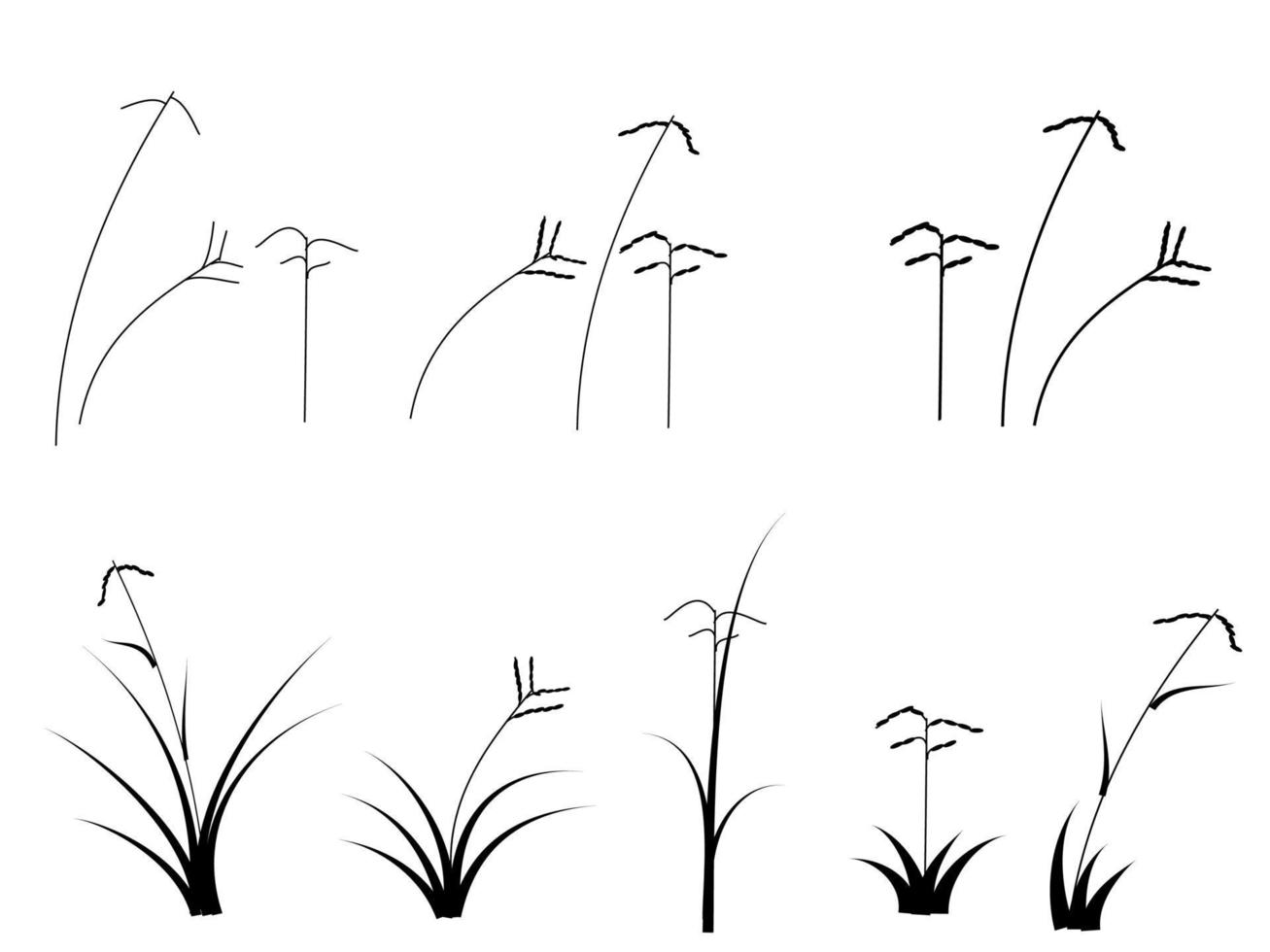 schwarzes Schilfblumenset, Grasblume vektor