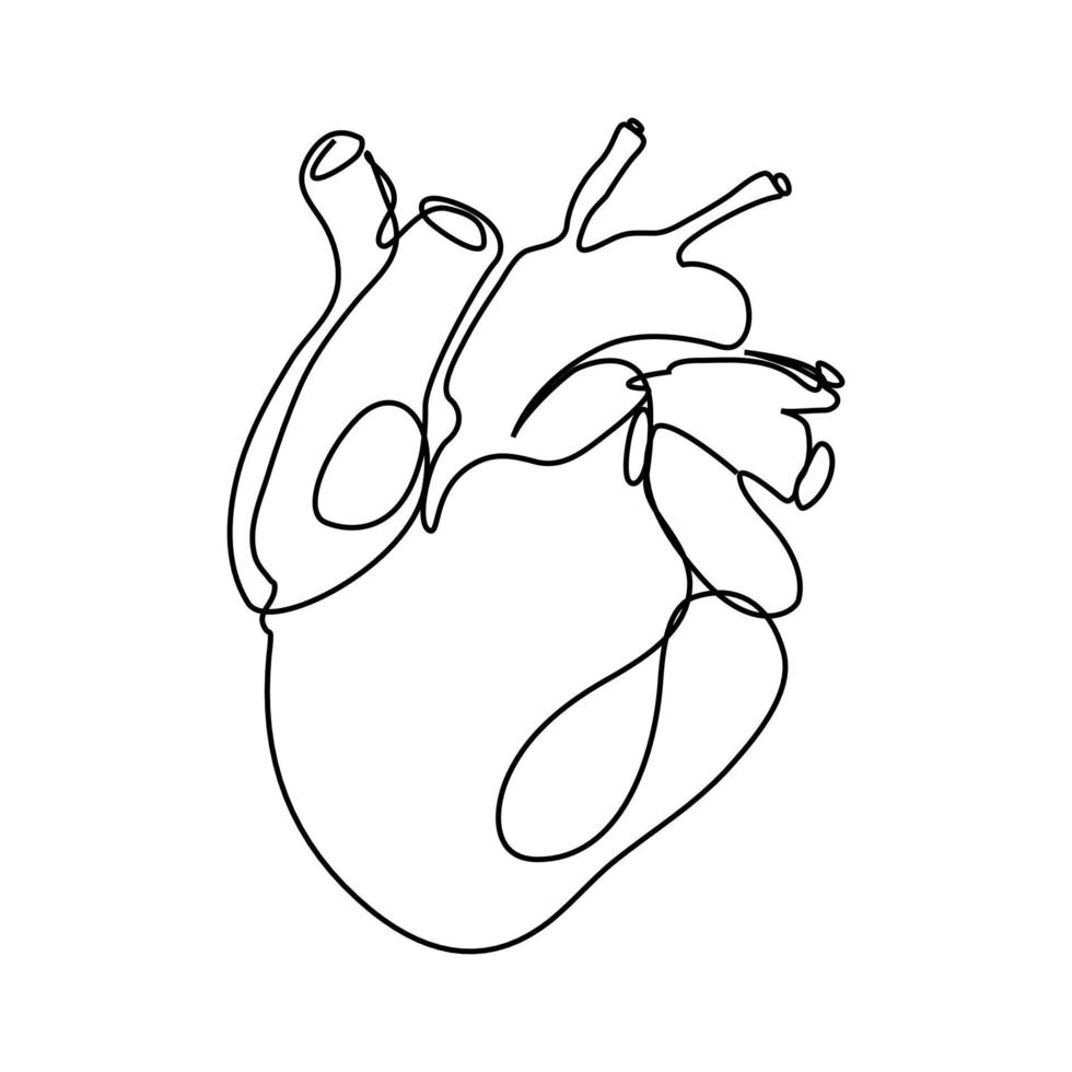 kontinuerlig linjeteckning av en kärlekssymbol med ett mänskligt hjärta. vektor
