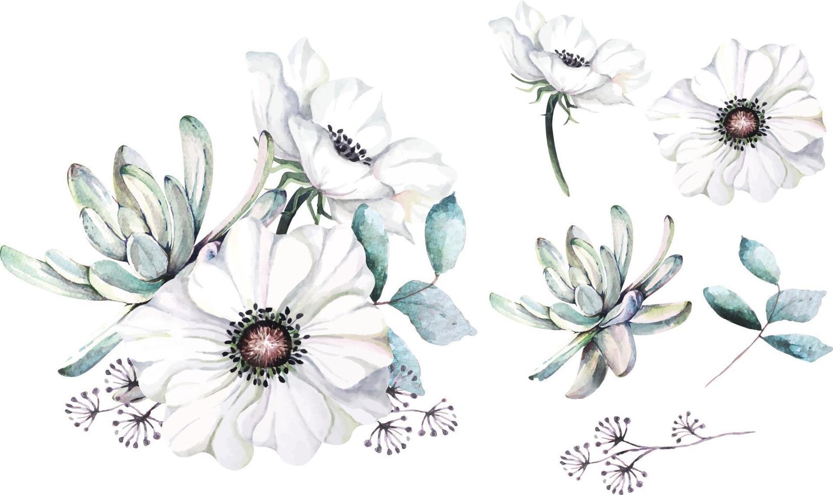 Strauß Anemonenblumen mit Wasserfarben gemalt 3 vektor