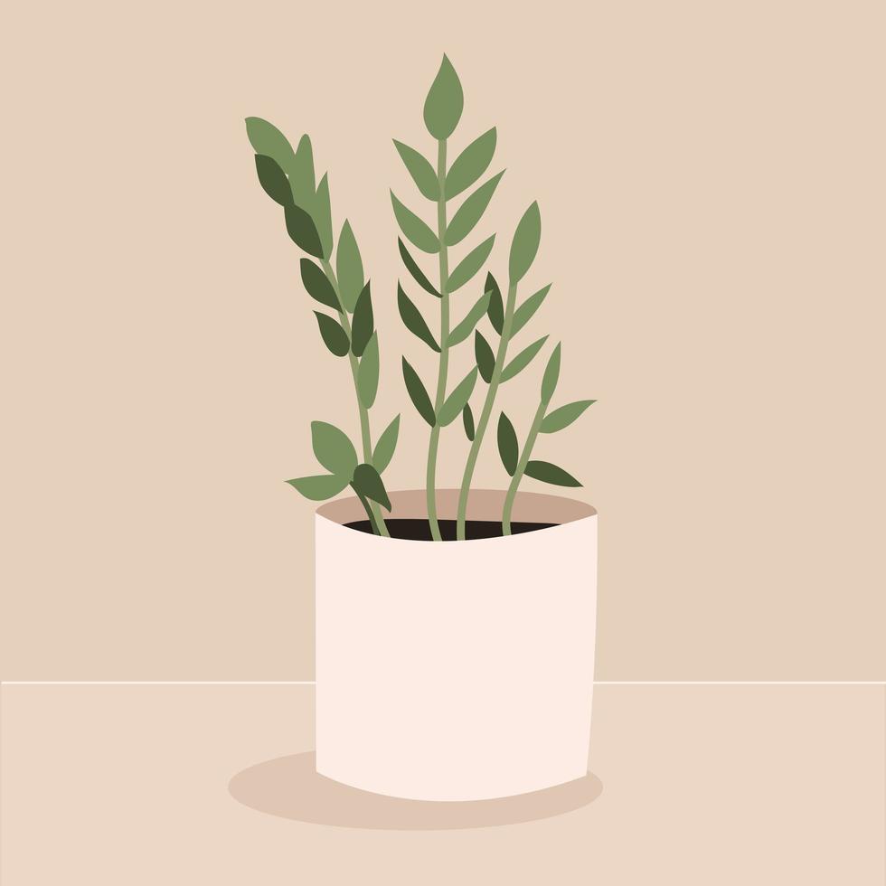 Zimmerpflanze Zamioculcas im Topf für die Inneneinrichtung zu Hause, im Büro, im Innenbereich. vektorillustration lokalisiert auf beigem hintergrund. trendige Wohnkultur mit Pflanzen vektor