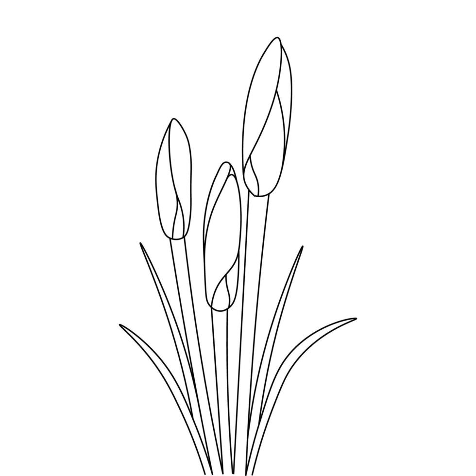 wunderbare Blumen mit Vektorillustration für die Farbseite lokalisiert auf weißem Hintergrund vektor