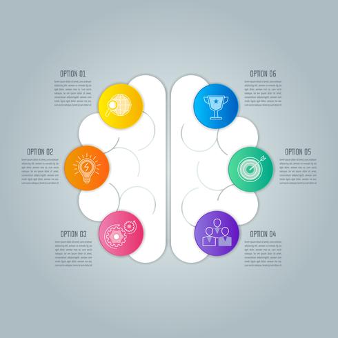 Geschäftskonzept des infographic Entwurfs des Gehirns mit 6 Wahlen, Teilen oder Prozessen. vektor