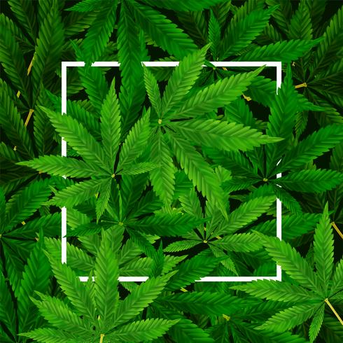 Marihuana- oder Hanf-Blatthintergrund vektor