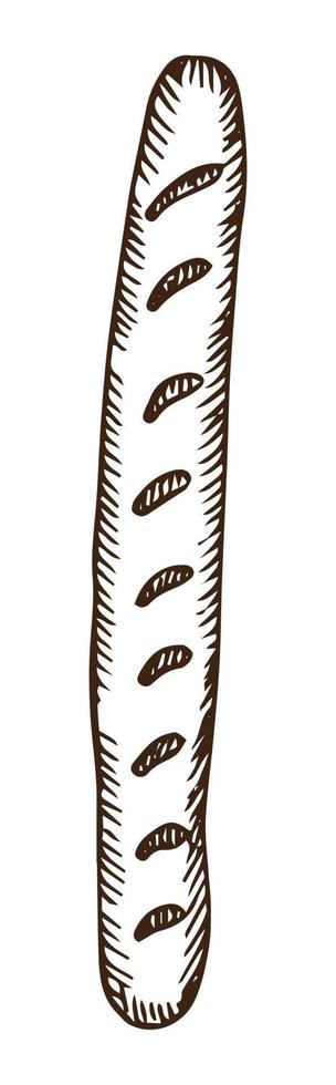 Baguette-Doodle, Cartoon-Lebensmittelzeichnung von langem Brot isoliert auf weißem Hintergrund. vektorillustration der handgezeichneten skizze des französischen pastenbrotes. vektor