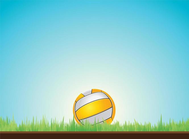Volleyboll på gräs vektor