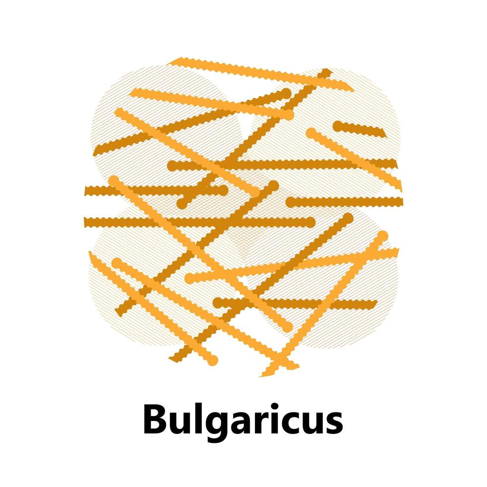 probiotika bakterier. lactobacillus, bulgaricus logotyp med text. amorfa symboler för mjölkprodukter visas som yoghurt, acidophilus. lactococcus, propionibacterium visas. vektor