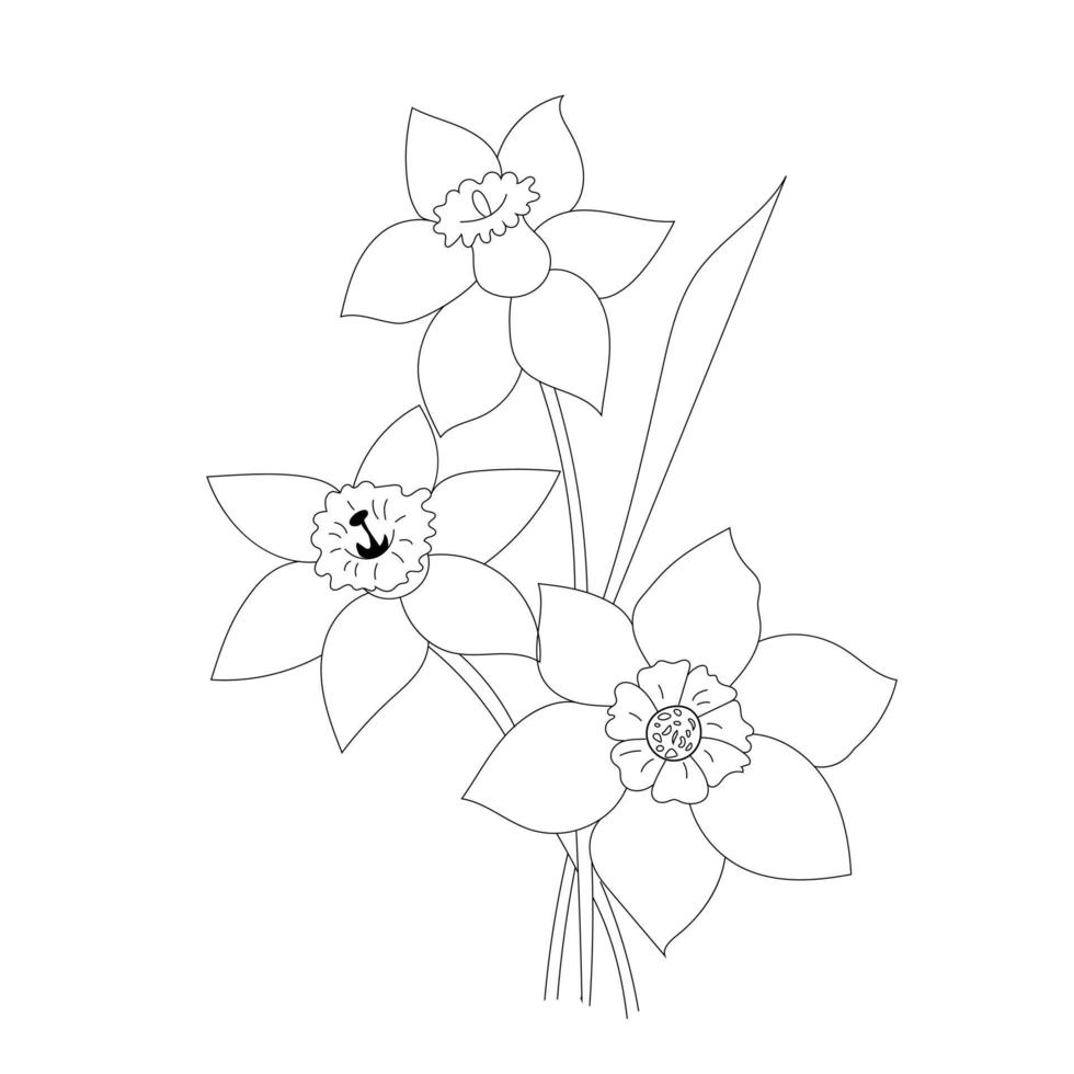 Umriss Narzissenblüten isoliert auf weißem Hintergrund vektor