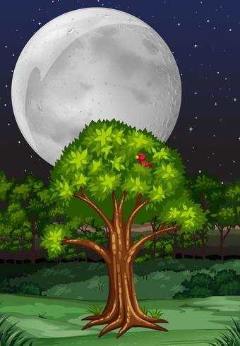 Naturszene mit Baum und Vollmond nachts vektor