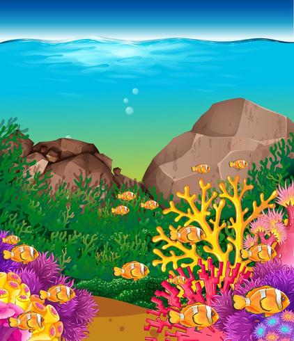 Undervattensplats med fisk och korallrev vektor