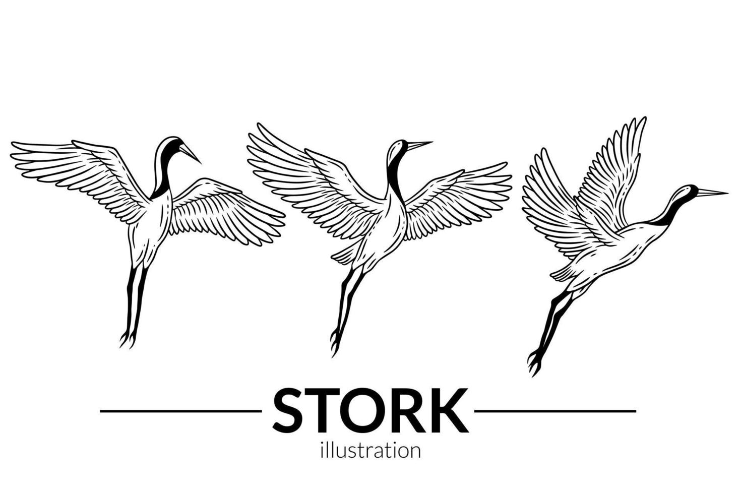 set stork fågel flyger tropiska tecknade vilda fåglar kranar handritad vektor