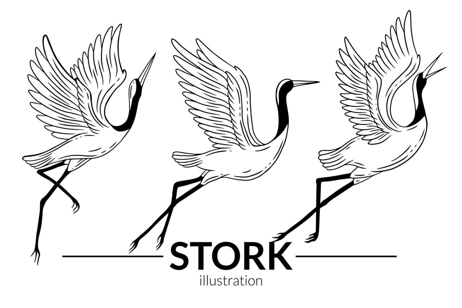 set stork fågel flyger tropiska tecknade vilda fåglar kranar handritad vektor