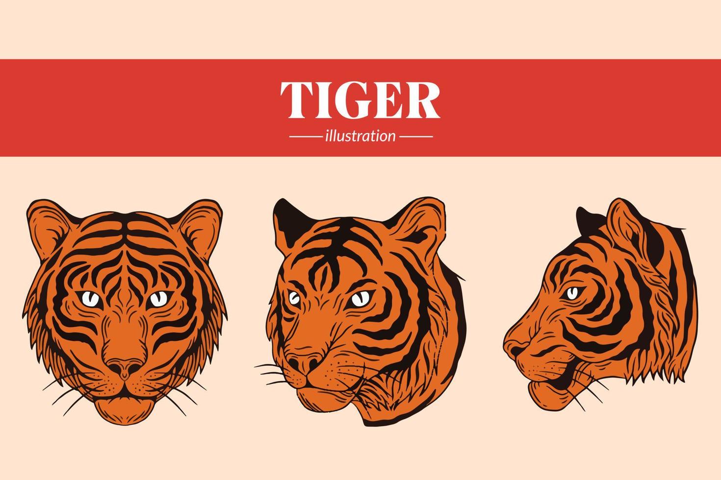 set tiger gesicht wilde posen isolierte karikaturillustration vektor