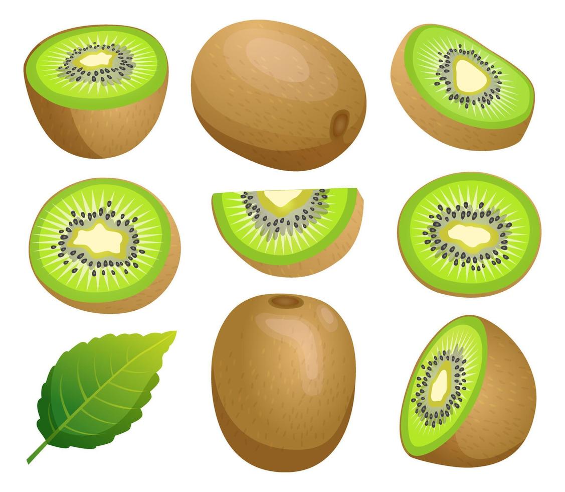 satz von kiwifrüchten ganz, halb und geschnittene scheibenillustration lokalisiert auf weißem hintergrund vektor