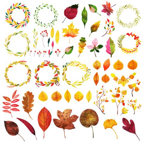 Vacker akvarell Autumn Elements Collection vektor