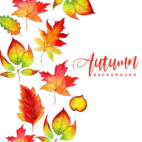 Aquarell Herbstlaub Hintergrund vektor
